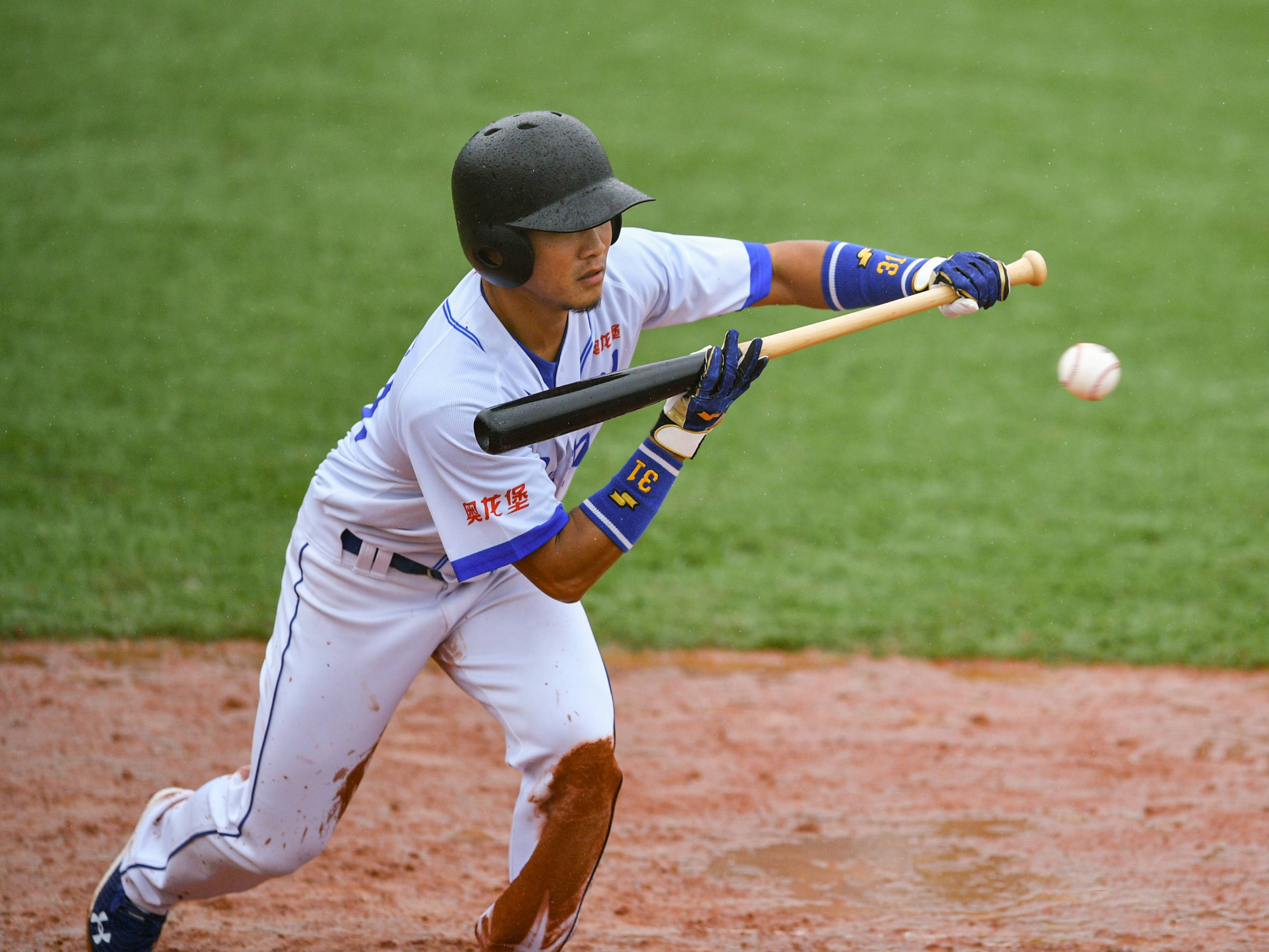 开云体育中国-包含棒球赛事精彩瞬间盘点，年度回顾震撼登场的词条