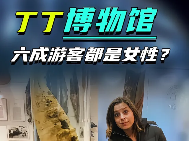 开云体育官网-包含专家预测拳击胜率超六成，结果成焦点的词条