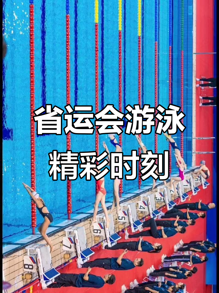 开云体育在线-关于游泳赛事精彩瞬间盘点，年度回顾震撼登场的信息
