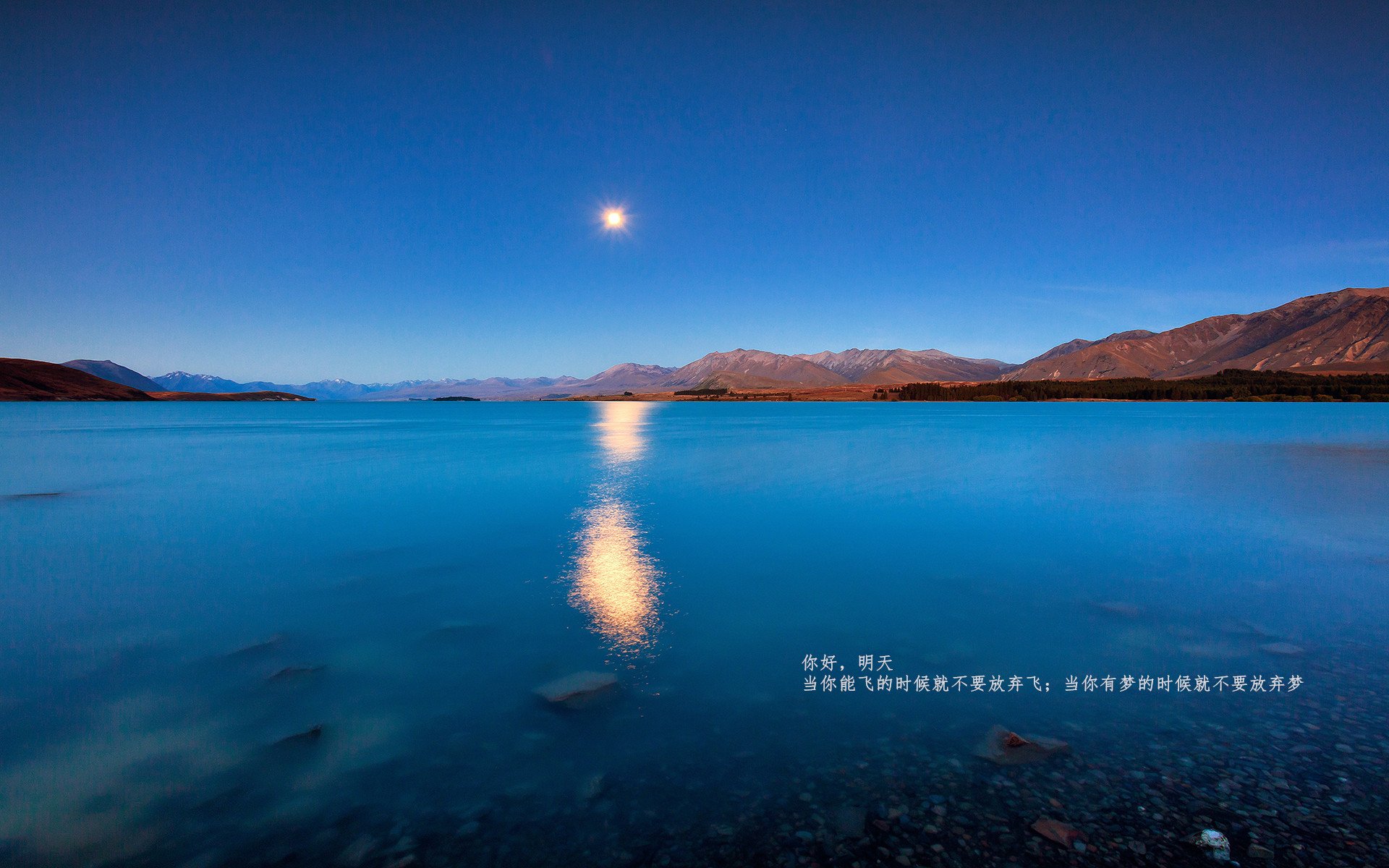 开云体育APP下载-1.钢铁之门与战术蓝图，拉亚神扑助卡塔尔战术性压制挪威