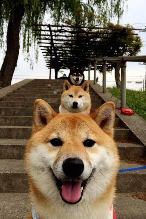 开云体育官网-从贫民窟到世界杯英雄，奥斯梅恩用防守铸就传奇，突尼斯爆冷速胜比利时