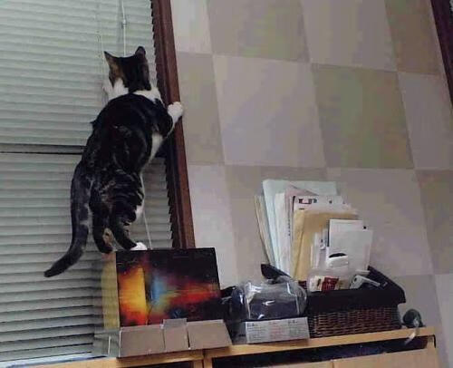 绿茵场的两座圣殿，斩落巨人的长矛与守护神祇的叹息