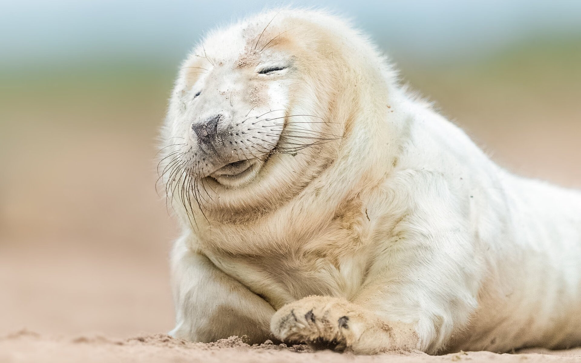 开云体育官网-西决生死夜，克瓦拉茨赫利亚那一剑，刺穿了时间