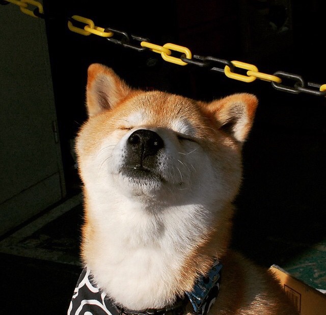 熔炉中的蝴蝶,拉梅洛与他的2026涅槃之夜