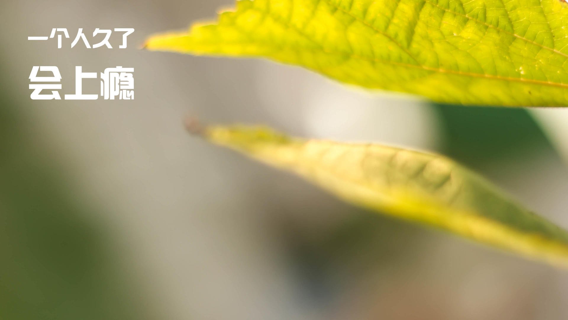 唯一性，当卢卡库一锤定音，AC米兰用最曼城的方式掀翻了曼城