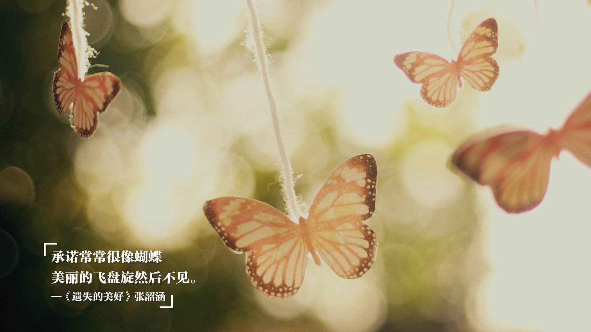 上海闪电战与巴林手术刀,当体育在破次元的边界奏响同一种节奏