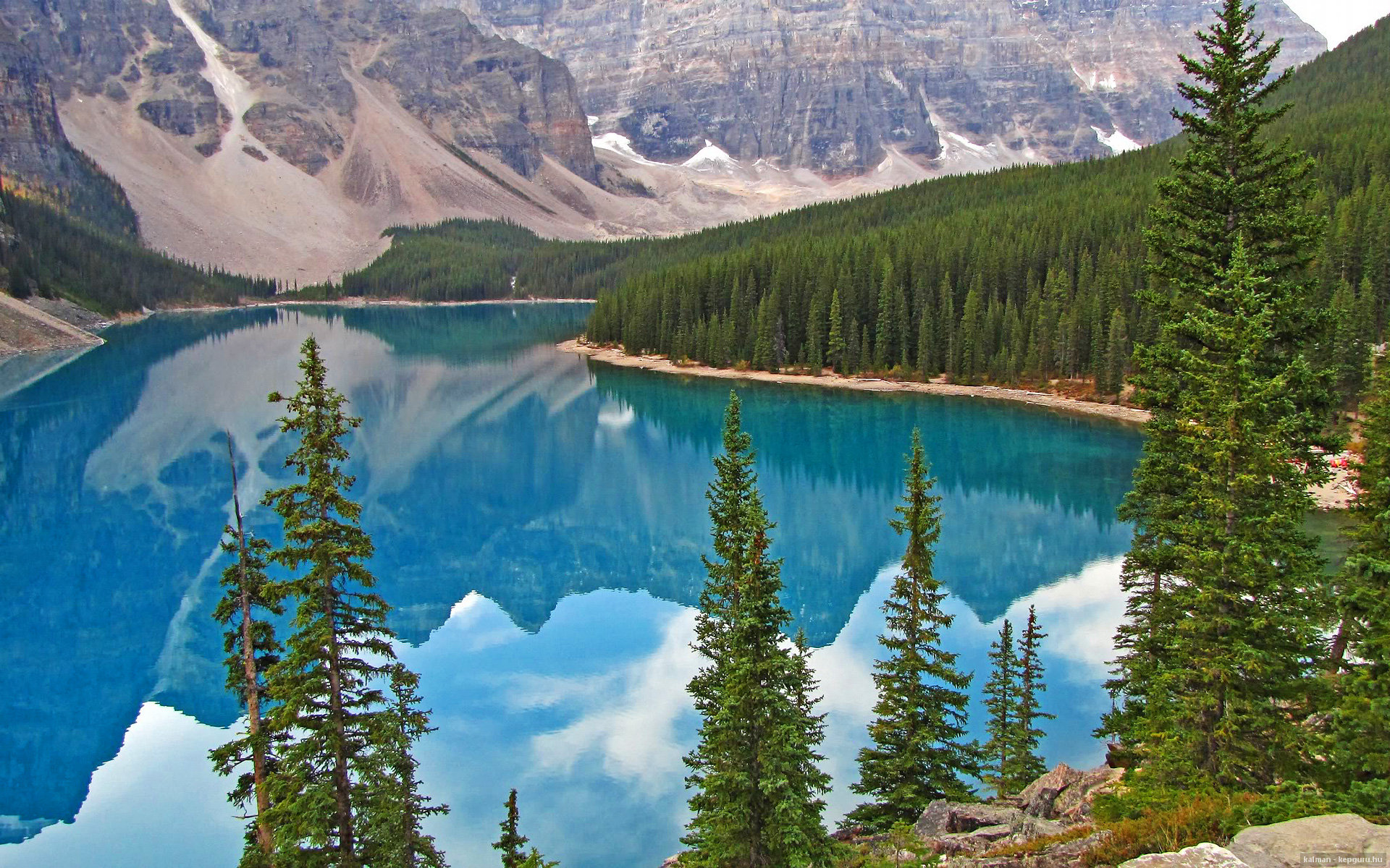 悬念终结者！卡拉斯科闪电突袭，塞内加尔无情碾压土耳其