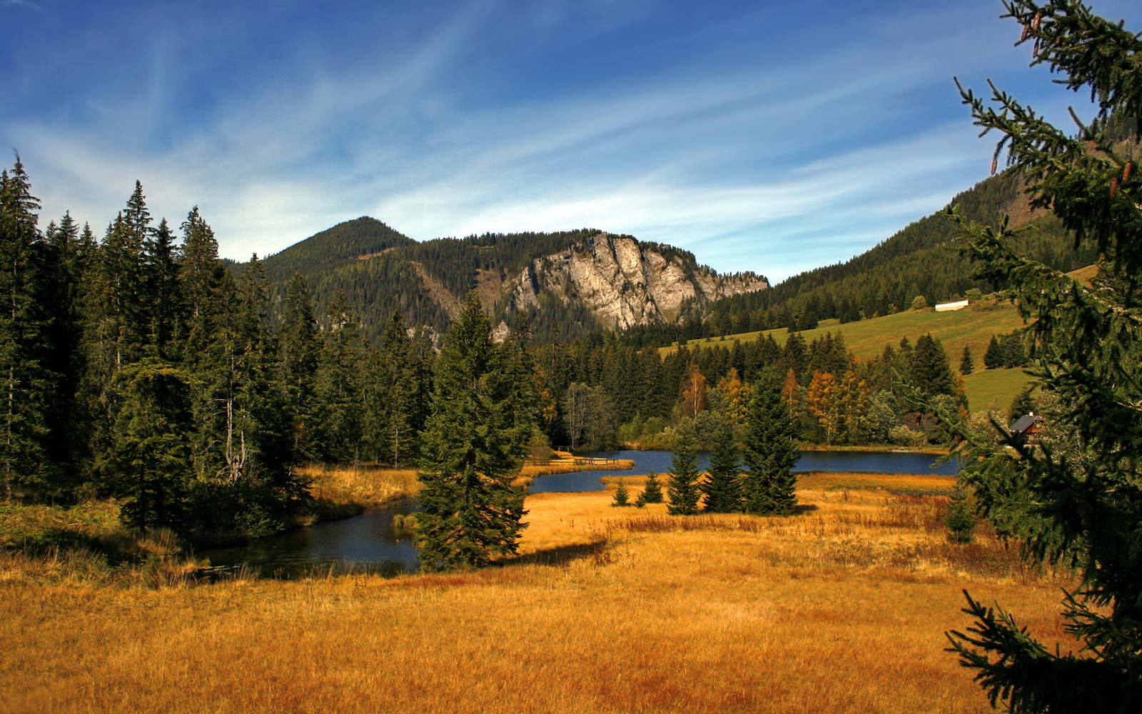 开云体育-巨星觉醒与团队屠龙，福克斯的独舞与老鹰的群猎