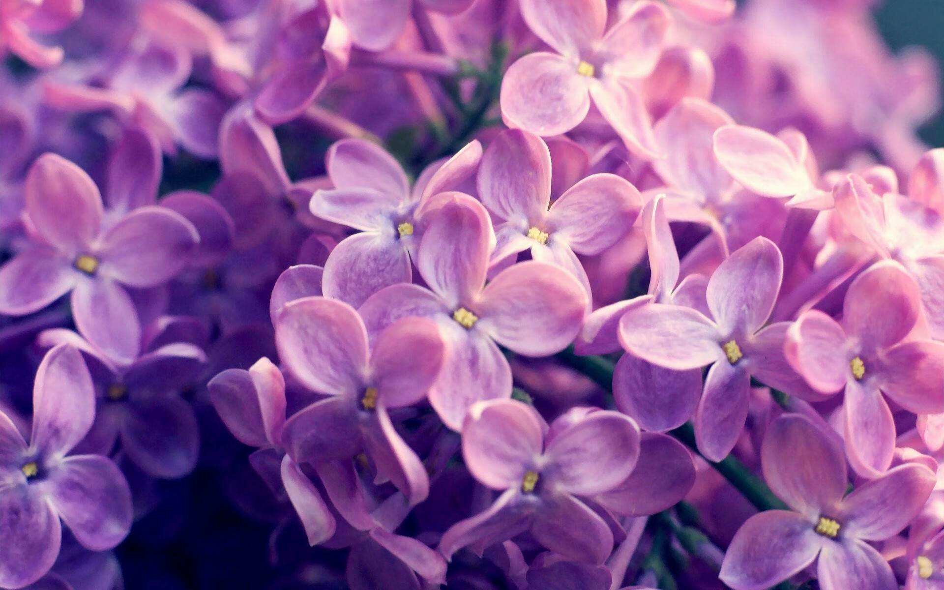 绿茵场上的凯恩定律，当哥伦比亚的利刃刺穿喀麦隆的盾牌