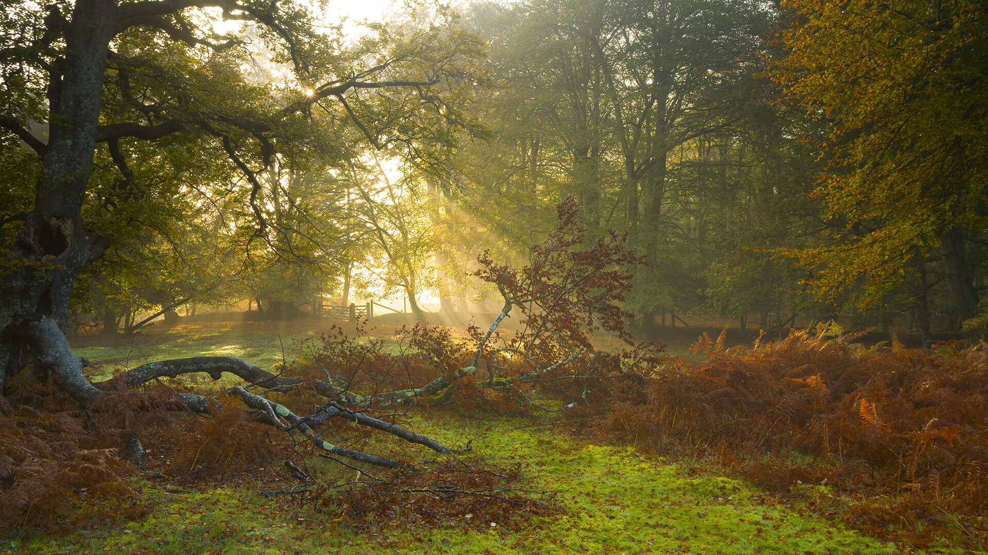 开云体育平台APP-绝杀与救赎，当裁判吹响终场哨，真正的比赛刚刚开始