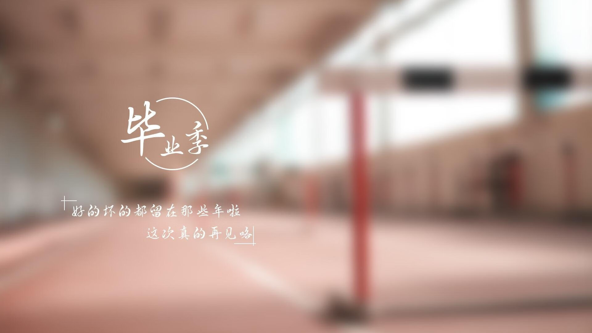 南征北战,当袋鼠碾压太极虎,枫叶快刀斩落草帽军—2026世界杯D组的新秩序与阿方索的加冕礼