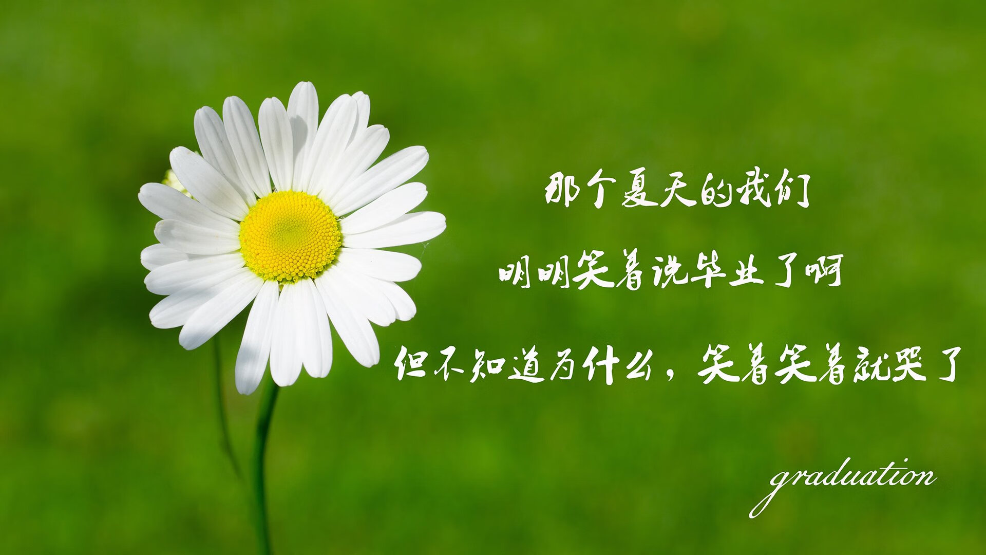 唯一的剧本,当安第斯山脉折断潘帕斯雄鹰的翅膀,桑托斯少年却在废墟上加冕
