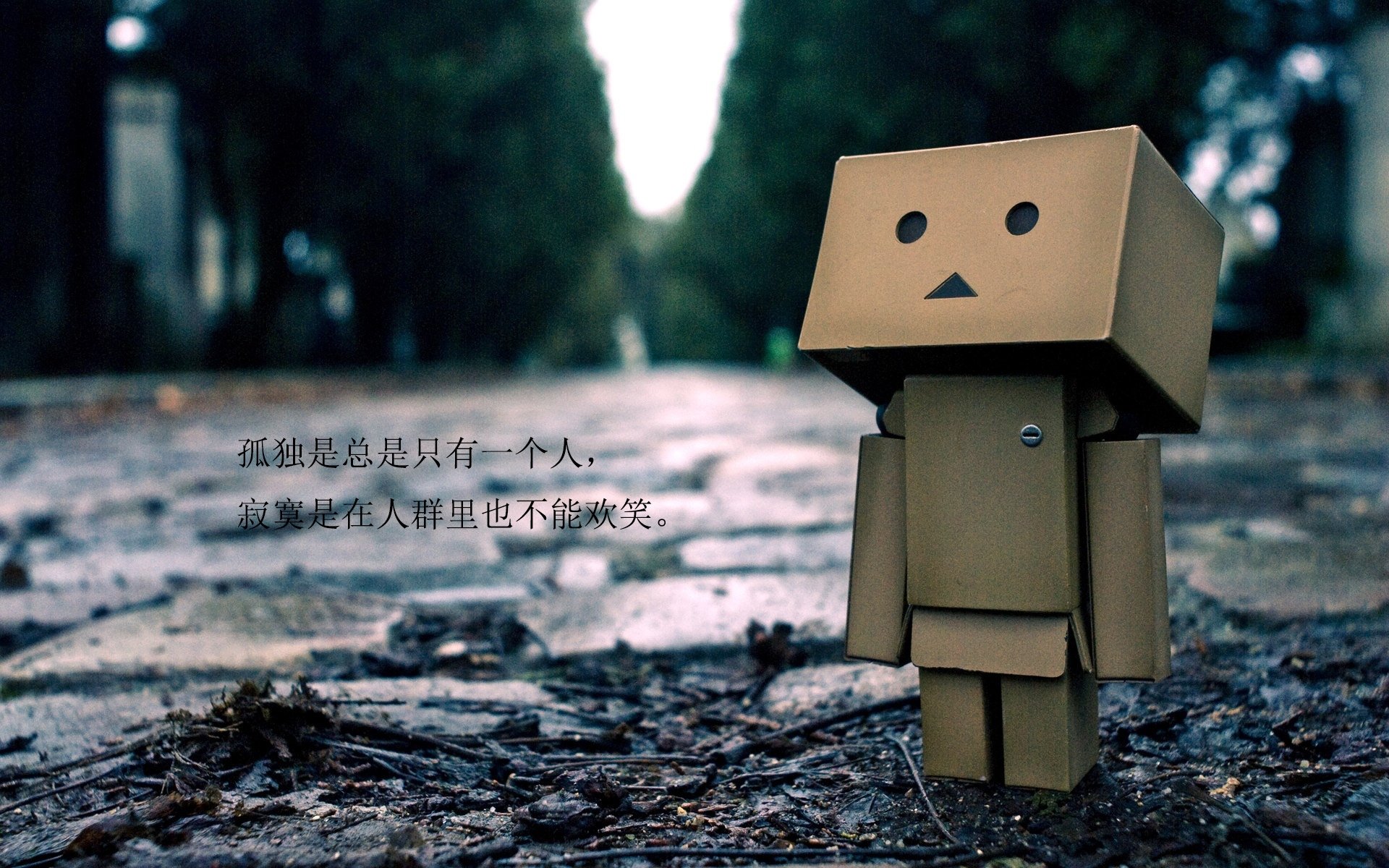 开云sport-2026唯一剧本，当黑马撕下标签，B费与无名奇兵共铸德意志铁血逆转