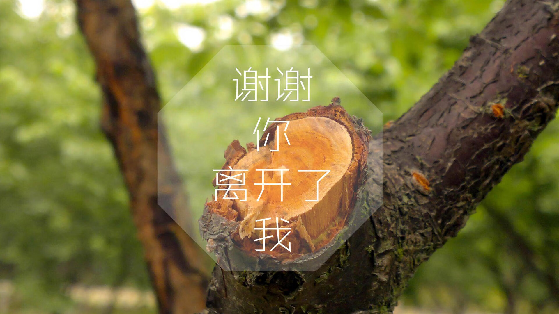 (扩展思维后的三种风格)